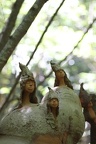 IMG 0258