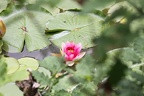 IMG 0348