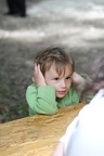 IMG 0385
