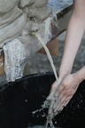 IMG 7298