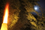 IMG 7631