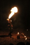IMG 7819