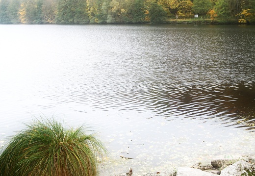 Maron - Boucles de la Moselle