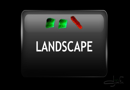 LANDSCAPE filigrane Djiefe iconePIWIGO 
