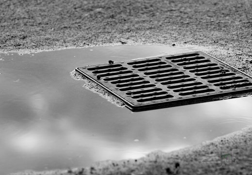 flickr-Djièfe-17044763098