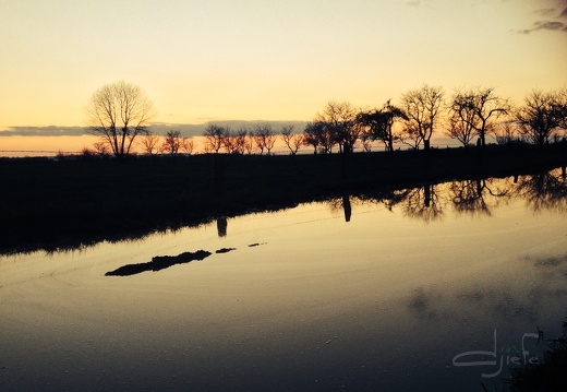 flickr-Djièfe-16454879384