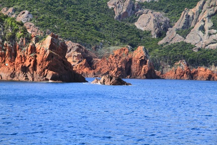 IMG 1660
