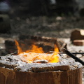 IMG 0135