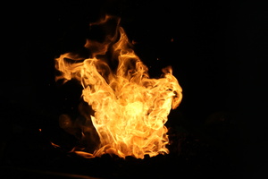 IMG 0524