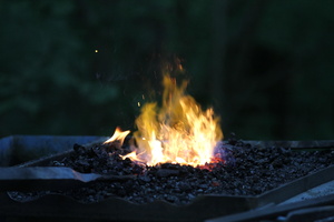 IMG 7259