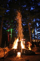 IMG 7610