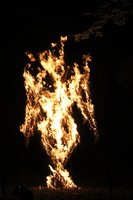 IMG 7752