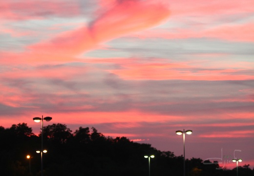 Finale de l'Euro 2016 - Zénith de Nancy