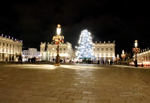 Nancy by Night